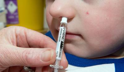 Александр Гинцбург - В центре Гамалеи начали испытывать вакцину от коронавируса в виде капель для носа - newizv.ru - Россия