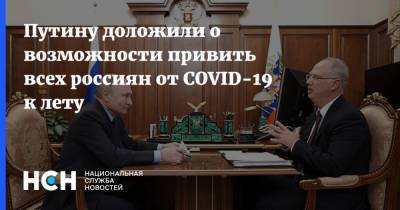 Владимир Путин - Кирилл Дмитриев - Путину доложили о возможности привить всех россиян от COVID-19 к лету - nsn.fm - Россия