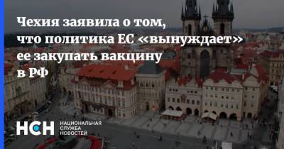 Андрей Бабиш - Чехия заявила о том, что политика ЕС «вынуждает» ее закупать вакцину в РФ - nsn.fm - Россия - Чехия