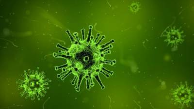 Тедрос Адханом Гебреисус - ВОЗ может обуздать пандемию коронавируса через несколько месяцев - polit.info