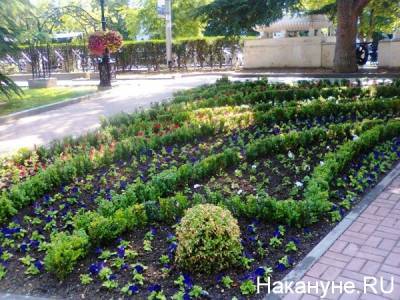 В Екатеринбурге Ботанический сад открывают после ограничений. Вход - платный - nakanune.ru - Екатеринбург