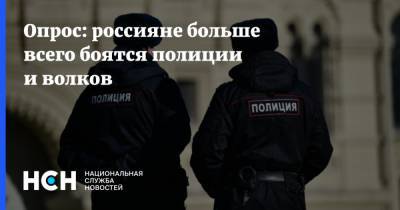 Опрос: россияне больше всего боятся полиции и волков - nsn.fm