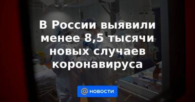 В России выявили менее 8,5 тысячи новых случаев коронавируса - news.mail.ru - Россия - Санкт-Петербург - Москва - Московская обл.