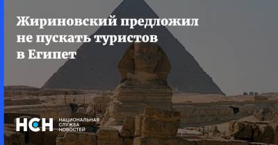 Владимир Жириновский - Жириновский предложил не пускать туристов в Египет - nsn.fm - Россия - Москва - Турция - Египет