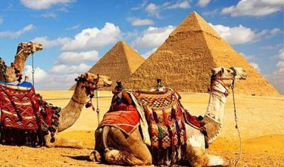 Египет готовится возобновить чартерные рейсы на курорты - newizv.ru - Россия - Египет