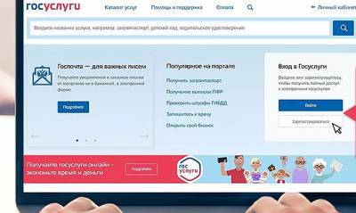 Алексей Навальный - В сливе личных данных пользователей сайта «Свободу Навальному!» заподозрили портал «Госуслуги» - og.ru