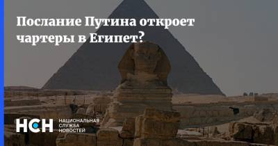 Владимир Путин - Послание Путина откроет чартеры в Египет? - nsn.fm - Египет