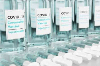 Вольфганг Мюкштайн - Австрия отказалась регистрировать российскую вакцину от коронавируса на национальном уровне - mk.ru - Австрия