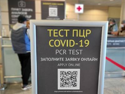 Власти ужесточили правила въезда для прибывающих из-за границы россиян - u24.ru - Россия - Турция - Танзания