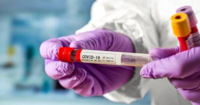 Борис Джонсон - В Британии начали разрабатывать таблетки для лечения COVID-19 - dsnews.ua - Англия
