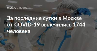 За последние сутки в Москве от COVID-19 вылечились 1744 человека - mos.ru - Москва