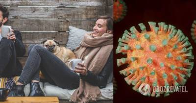 Собаки и кошки - ученые нашли возможный источник распространения британского коронавируса - obozrevatel.com - Китай