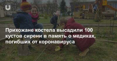Прихожане костела высадили 100 кустов сирени в память о медиках, погибших от коронавируса - news.tut.by - Минск