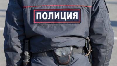 Подросток с саперной лопатой задержан на незаконной акции в Москве - 5-tv.ru - Москва