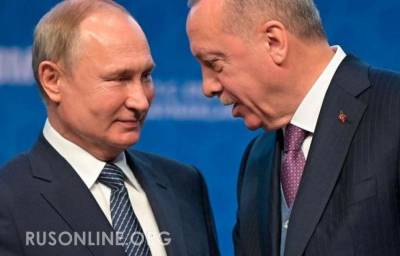 Турция решила катить бочку на Россию, но очень быстро была успокоена - rusonline.org - Россия - Турция