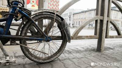 Велосипедного вора отправили в колонию два года - newdaynews.ru - Екатеринбург