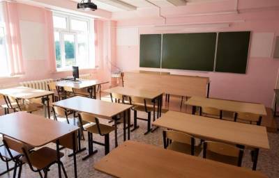 В Ульяновской области в 13 школьных классах нашли COVID-19 - ulpravda.ru - Ульяновская обл.