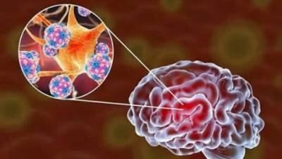Ученые определили, как COVID-19 влияет на мозг - enovosty.com