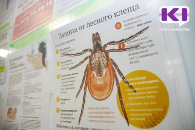 В Коми уже зафиксировано 32 случая обращения за медицинской помощью по поводу укусов клещей - komiinform.ru - республика Коми