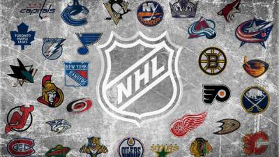 Стала известна предварительная дата старта следующего сезона НХЛ - vesti.ru
