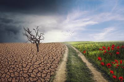 Катастрофические последствия климатических «переломных моментов» можно предотвратить - ученые и мира - cursorinfo.co.il