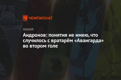Сергей Андронов - Андронов: понятия не имею, что случилось с вратарём «Авангарда» во втором голе - championat.com