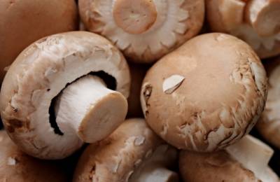 Ученые: Ежедневное употребление грибов снижает риск возникновения рака - actualnews.org - штат Пенсильвания
