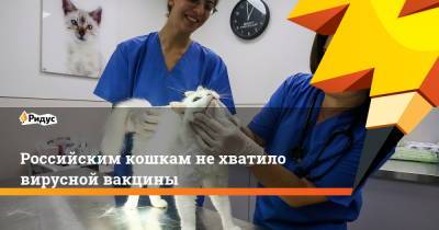 Российским кошкам не хватило вирусной вакцины - ridus.ru - Россия