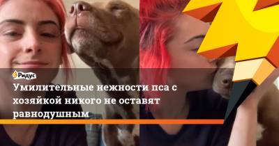 Умилительные нежности пса с хозяйкой никого не оставят равнодушным - ridus.ru