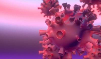 Ученые нашли молекулы, защищающие коронавирус от антител - newizv.ru