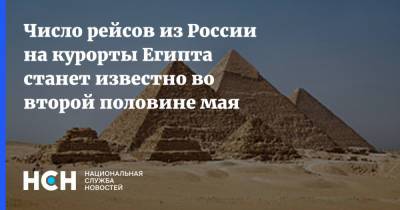 Число рейсов из России на курорты Египта станет известно во второй половине мая - nsn.fm - Россия - Египет