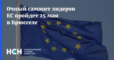 Мишель Баренд Лейтс - Очный саммит лидеров ЕС пройдет 25 мая в Брюсселе - nsn.fm - Россия - Евросоюз - Брюссель