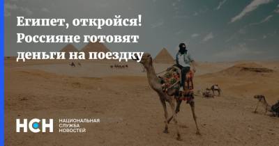 Владимир Путин - Египет, откройся! Россияне готовят деньги на поездку - nsn.fm - Россия - Египет