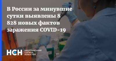 В России за минувшие сутки выявлены 8 828 новых фактов заражения COVID-19 - nsn.fm - Россия
