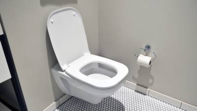 Ученые из США указали на скрытую опасность общественных туалетов - nation-news.ru - штат Флорида