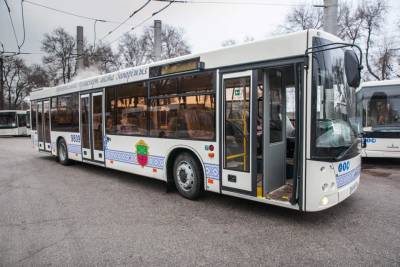 В Запорожье закупят 56 больших автобусов - inform.zp.ua - Украина - Запорожье - Запорожская обл.
