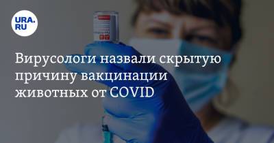 Вирусологи назвали скрытую причину вакцинации животных от COVID - ura.news