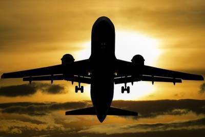 Власти Нидерландов вводят запрет на пассажирское авиасообщение с Индией - mk.ru