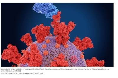 Science News назвало британский штамм коронавируса наиболее заразным и смертоносным - mk.ru - Англия - штат Мичиган