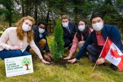 5600 деревьев мира посадили в 21 стране на 5 континентах в рамках «Озеленения планеты» - mkivanovo.ru