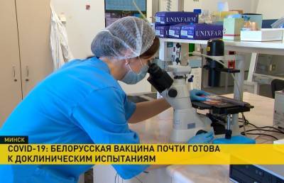 Белорусскую вакцину от COVID-19 готовят к доклиническим испытаниям - ont.by