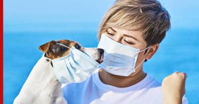 Как часто хозяева передают собакам коронавирус, выяснили ученые - profile.ru - штат Вашингтон