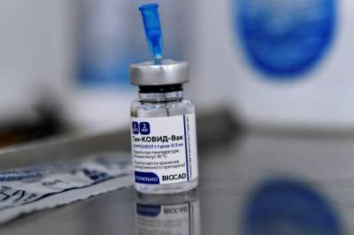 Бразильские учёные признали российскую вакцину «Спутник V» безопасной - aif.ru - Бразилия