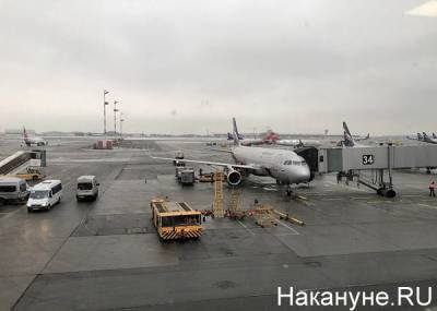 Министерство транспорта предложило ввести в аэропортах сегрегацию людей по "вакцинному статусу" - nakanune.ru - Москва - Эмираты