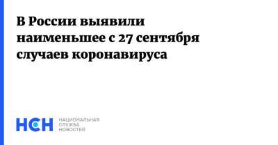 В России выявили наименьшее с 27 сентября случаев коронавируса - nsn.fm - Россия