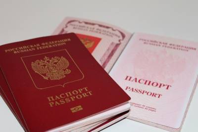 Германия: Может ли гражданин России въехать в страну по визе в немецком паспорте - mknews.de - Россия - Германия