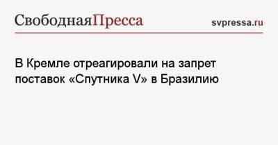 Дмитрий Песков - В Кремле отреагировали на запрет поставок «Спутника V» в Бразилию - svpressa.ru - Россия - Бразилия