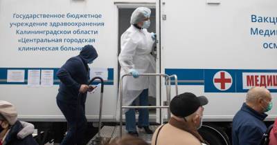 Фото дня: выездная вакцинация - klops.ru - Калининград