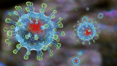 Аглая Чайковская - ВОЗ оценила заразность нового штамма коронавируса из Индии - politros.com