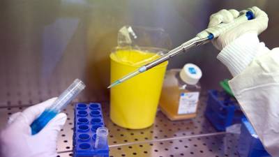 Новую вакцину от оспы могут зарегистрировать к осени - iz.ru - Израиль